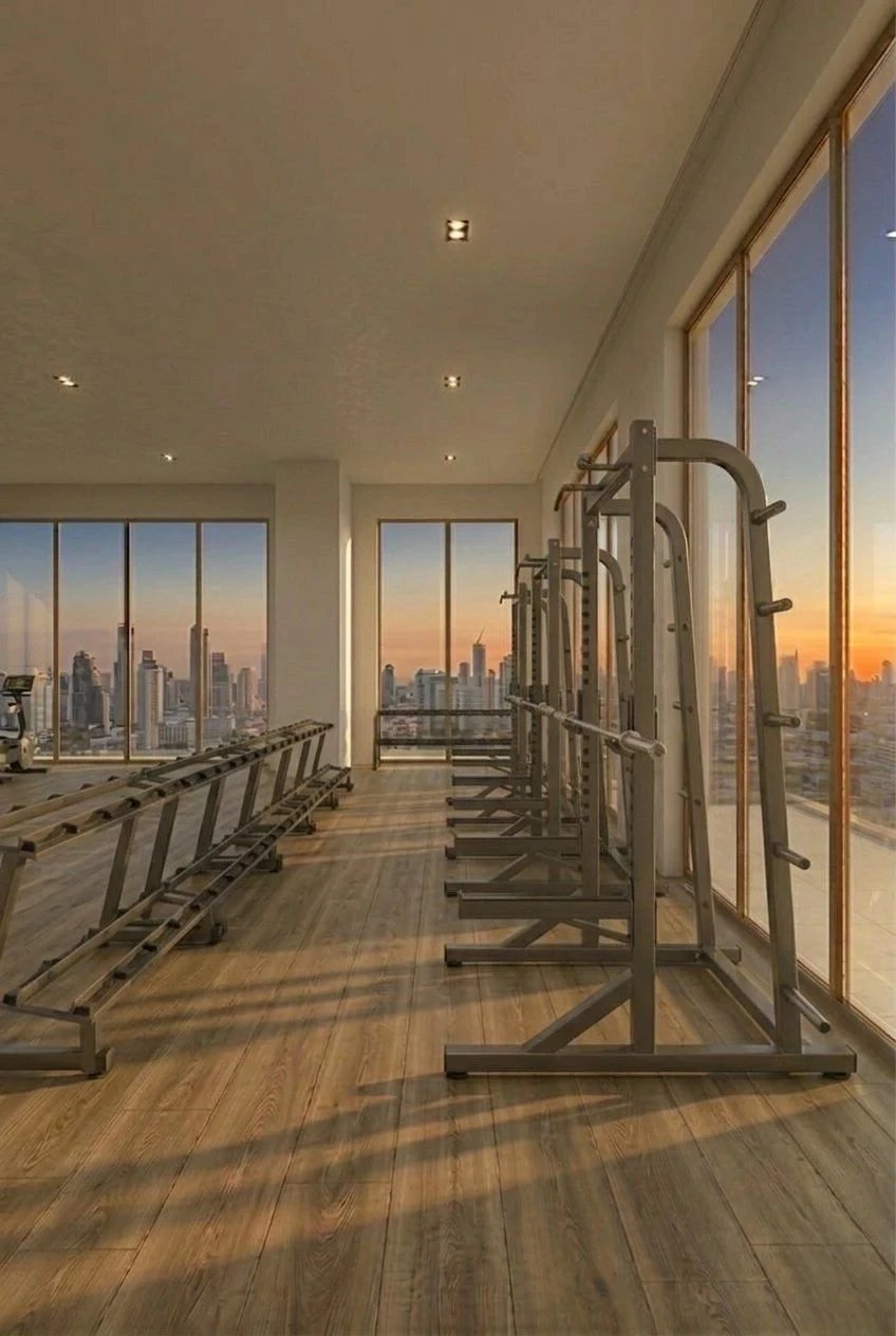 حامل دامبلز وطارات